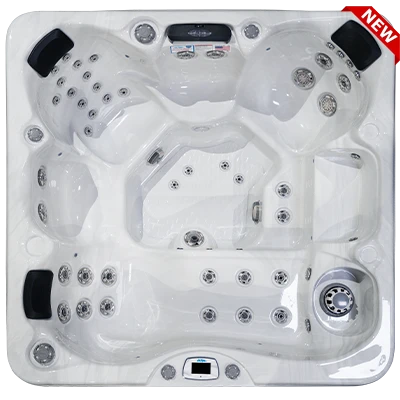 Costa-X EC-749LX hot tubs for sale in Rehoboth