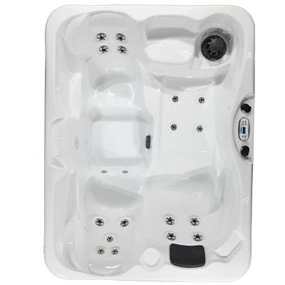 Kona PZ-519L hot tubs for sale in Rehoboth