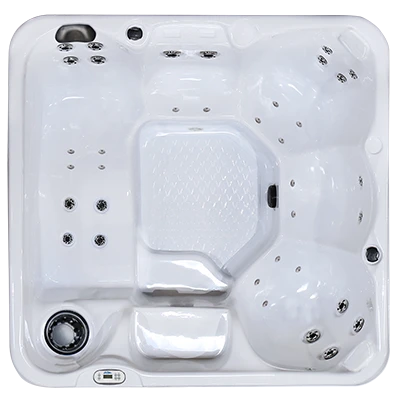 Hawaiian PZ-636L hot tubs for sale in Rehoboth